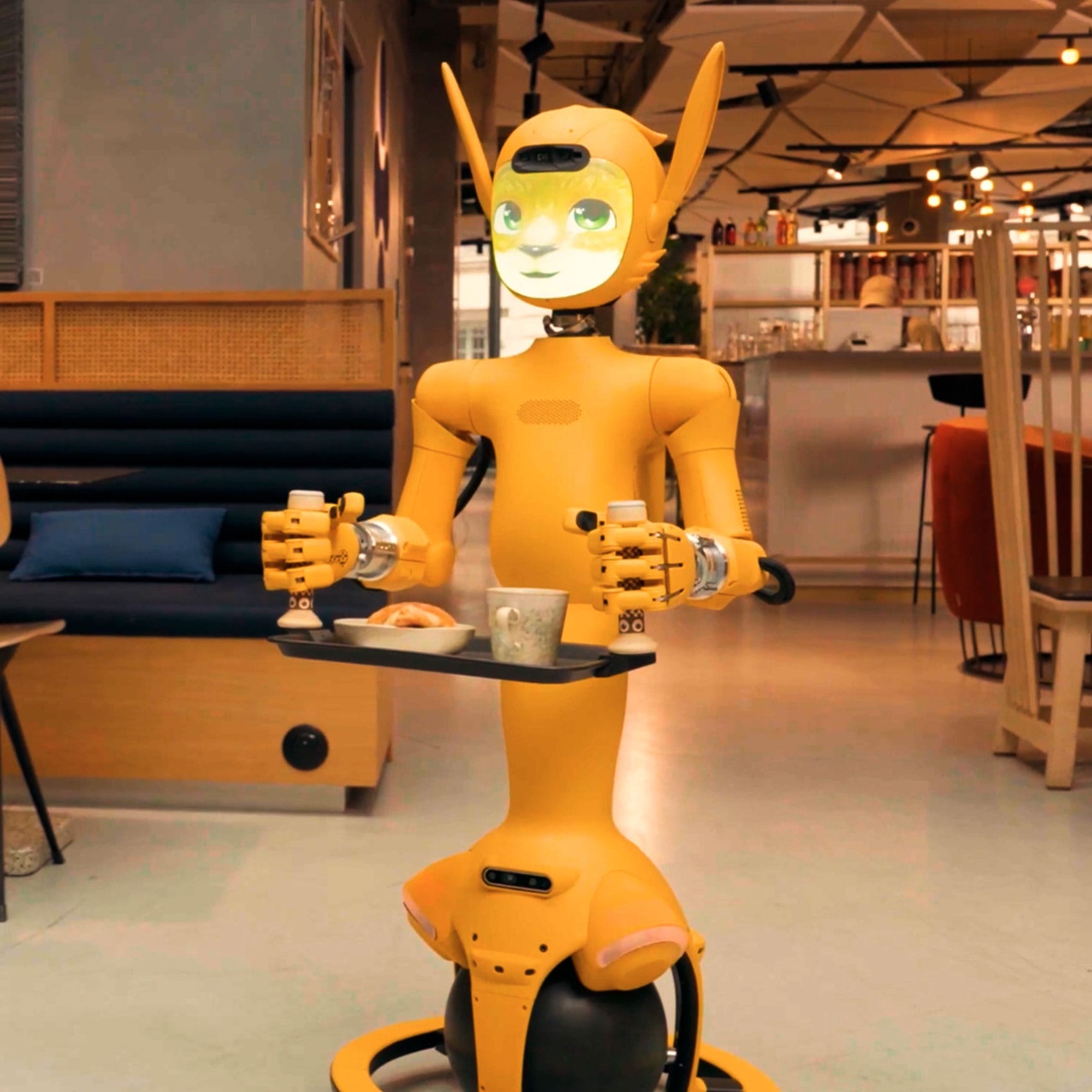 zeeno-robots-Miroki-carrying-tray-1